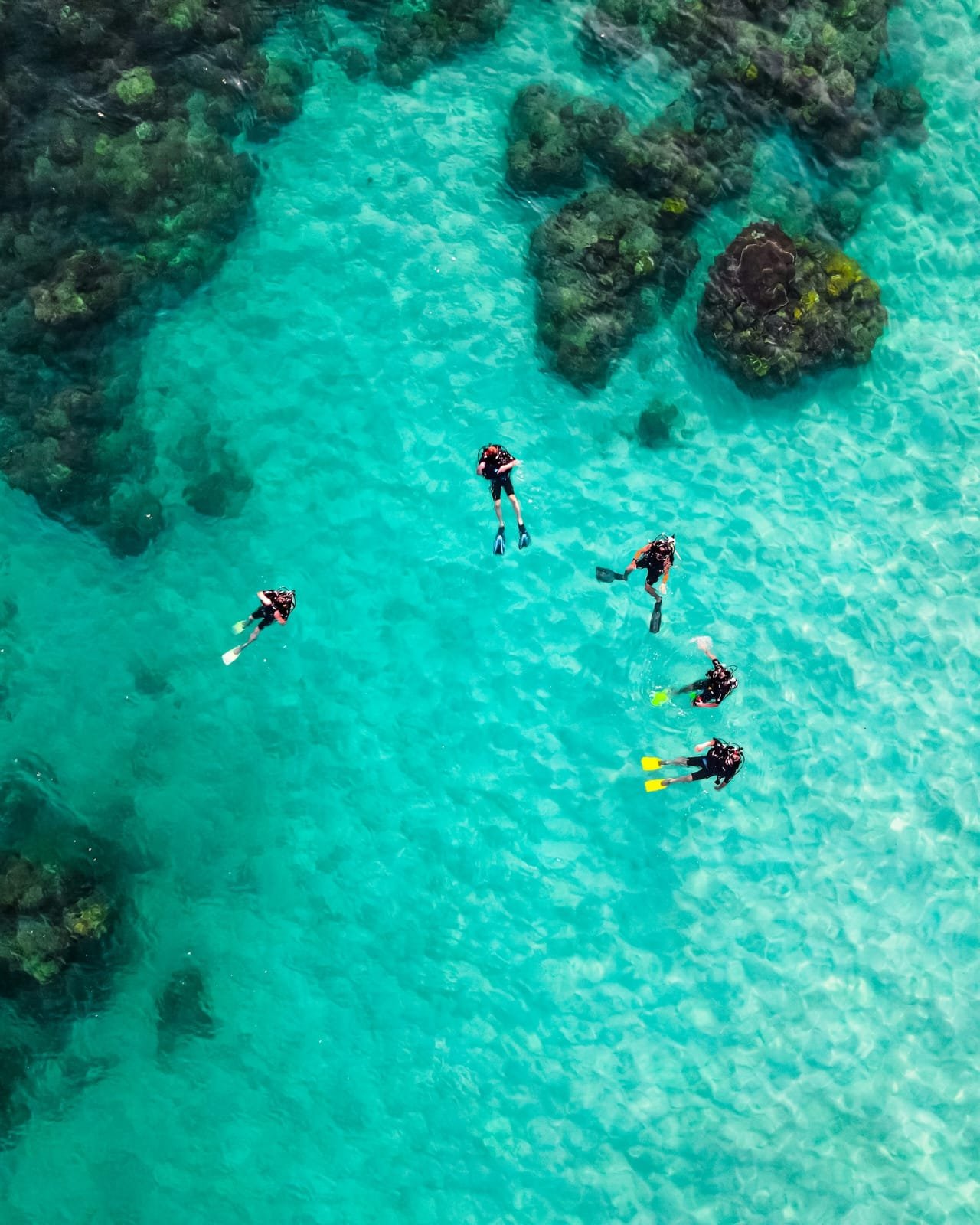 Scuba diving experience